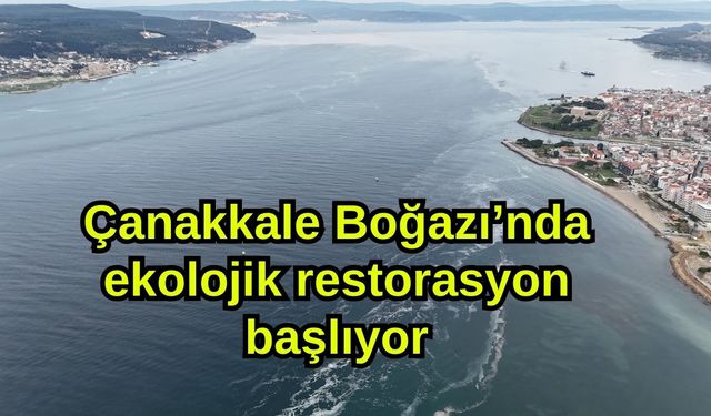 Çanakkale Boğazı’nda ekolojik restorasyon başlıyor