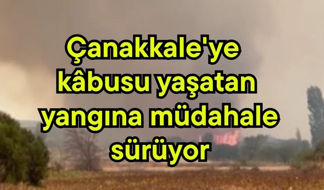 Çanakkale'ye kâbusu yaşatan yangına müdahale sürüyor (Video)
