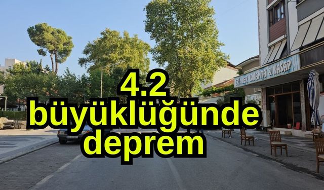 4.2 büyüklüğünde deprem (Video)