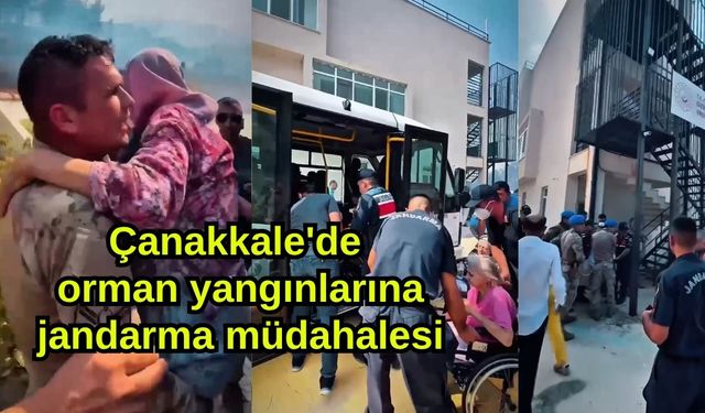 Çanakkale'de orman yangınlarına jandarma müdahalesi