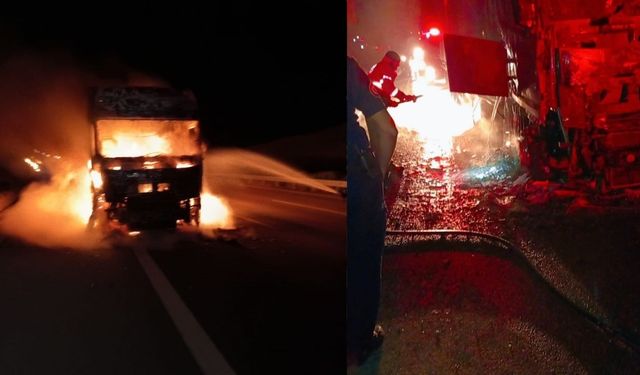 Yanan tır ot yangına sebep oldu