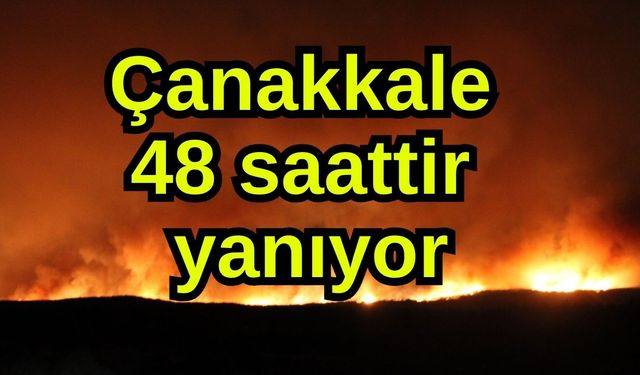 Çanakkale 48 saattir yanıyor