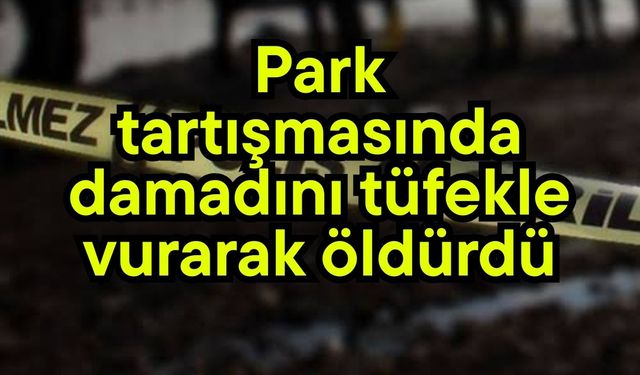 Park tartışmasında damadının canına kıydı