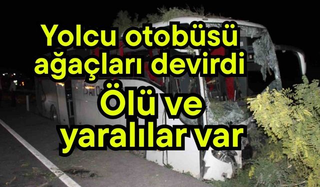Yolcu otobüsü ağaçları devirdi, ölü ve yaralılar var