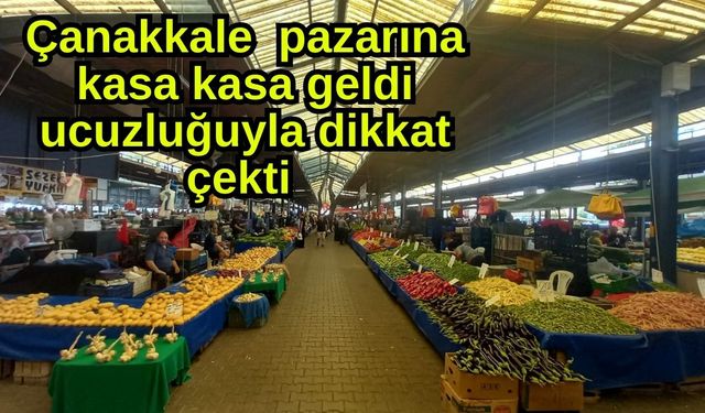 Çanakkale  pazarına kasa kasa geldi  ucuzluğuyla dikkat çekti
