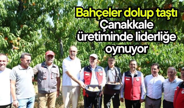 Bahçeler dolup taştı, Çanakkale üretiminde liderliğe oynuyor (Video)