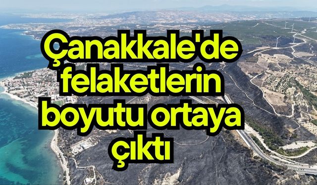 Çanakkale'de felaketlerin boyutu ortaya çıktı (Video)