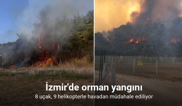 İzmir'de orman yangını