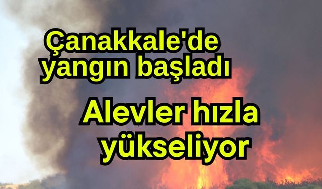 Çanakkale'de yangın başladı, alevler hızla yükseliyor