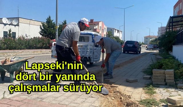 Lapseki'nin dört bir yanında çalışmalar sürüyor