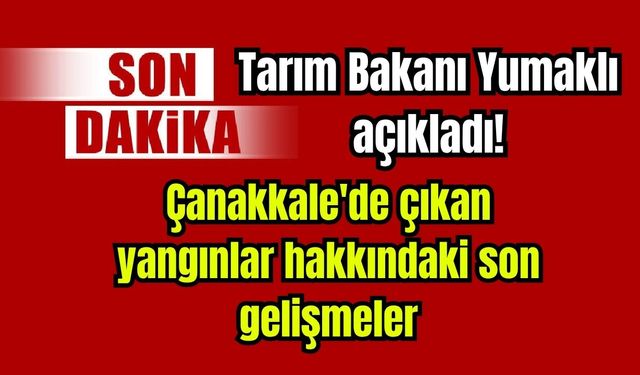 Çanakkale'de çıkan yangınlar hakkındaki son gelişmeleri Bakan açıkladı