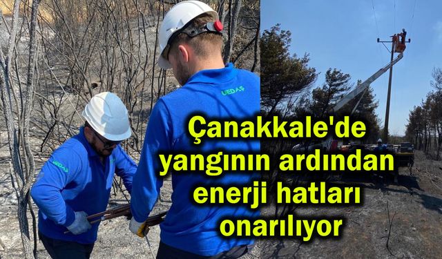 Çanakkale'de yangının ardından enerji hatları onarılıyor