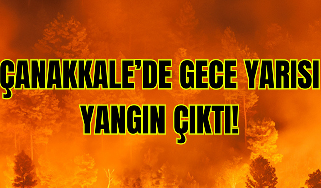 Çanakkale'de gece yarısı yangın çıktı!