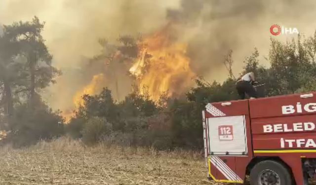 Çanakkale orman yangını ile ilgili son durum (Video)