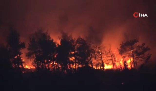 Çanakkale’deki orman yangınına müdahale devam ediyor (Video)