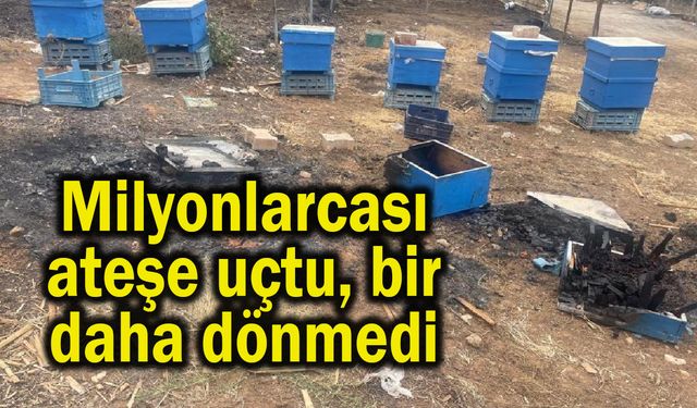 Milyonlarcası ateşe uçtu bir daha dönmedi (Video)