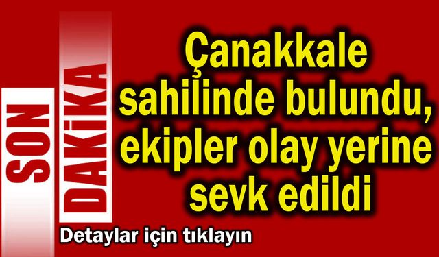 Çanakkale sahilinde bulundu, ekipler olay yerine sevk edildi