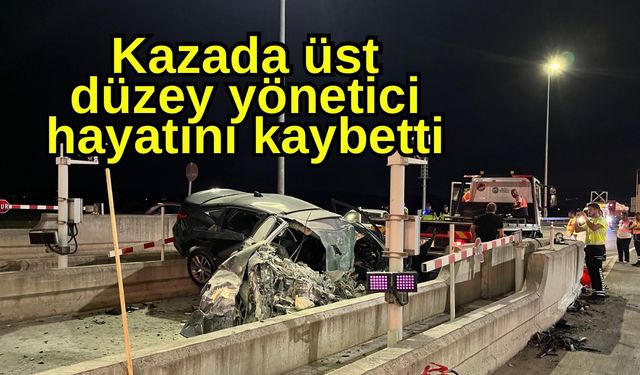 Kazada üst düzey yönetici hayatını kaybetti
