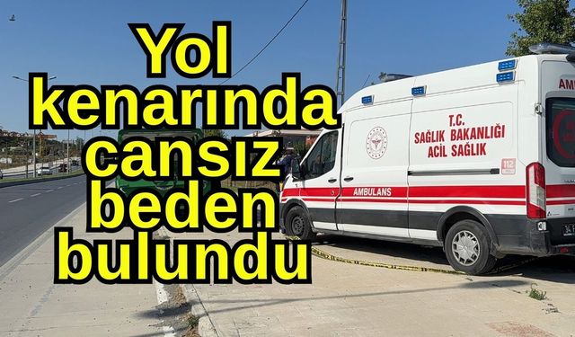 Yol kenarında cansız beden bulundu