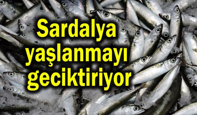 Sardalya yaşlanmayı geciktiriyor! Faydaları saymakla bitmiyor