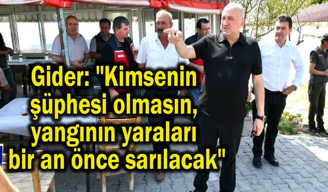 Çanakkale'de yangının yaraları en kısa sürede sarılacak