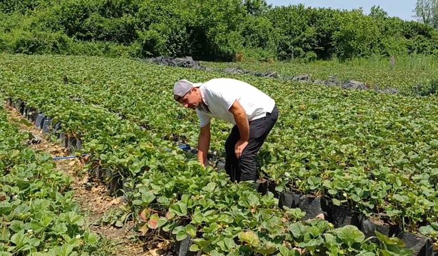 Yanlış çalışma hastanelik ediyor