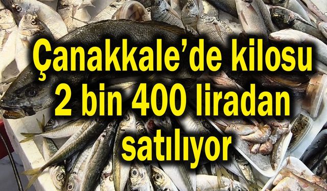 Çanakkale’de kilosu 2 bin 400 liradan satılıyor
