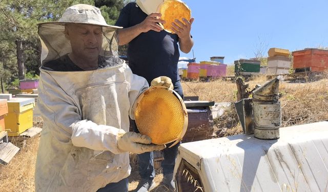 Bursa'da üretilen bu bal her derde deva (Video)