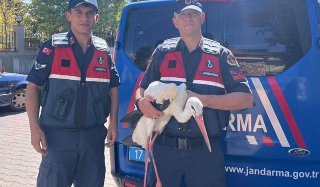Bayramiç'te bulunan yaralı leylek tedavi altına alındı