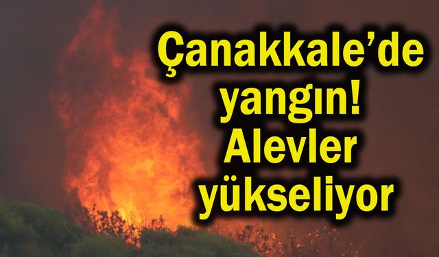 Çanakkale’de yangın! Alevler yükseliyor