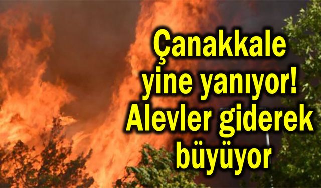 Çanakkale yine yanıyor! Alevler giderek büyüyor