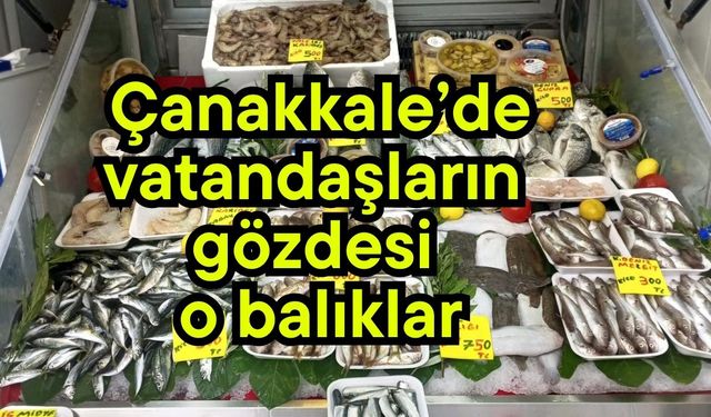 Çanakkale’de vatandaşların gözdesi o balıklar