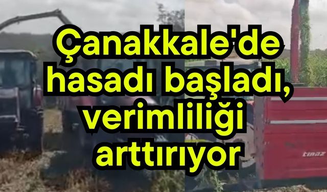 Çanakkale'de hasadı başladı, verimliliği arttırıyor