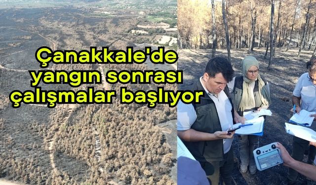 Çanakkale'de yangın sonrası çalışmalar başlıyor