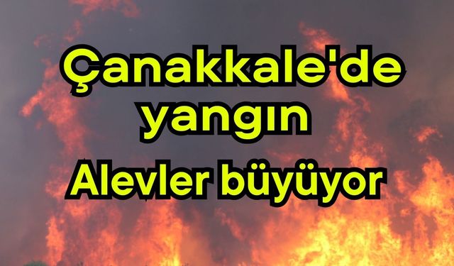 Çanakkale'de yangın, alevler büyüyor