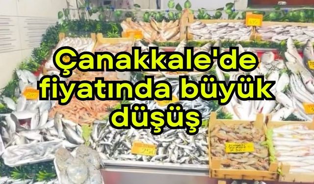 Çanakkale'de fiyatında büyük düşüş