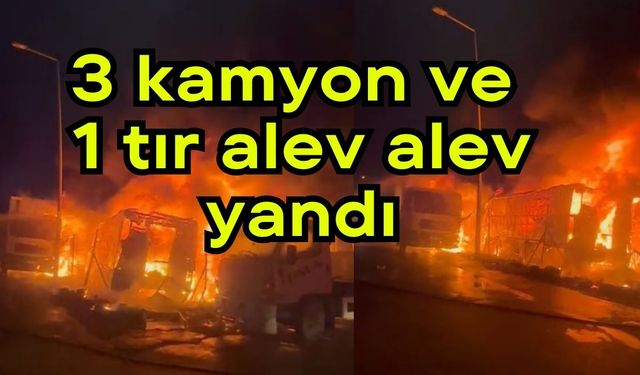 3 kamyon ve 1 tır alev alev yandı (Video)
