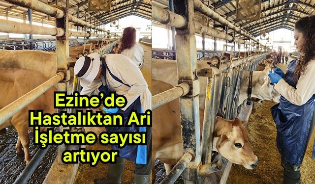 Ezine’de Hastalıktan Ari İşletme sayısı artıyor