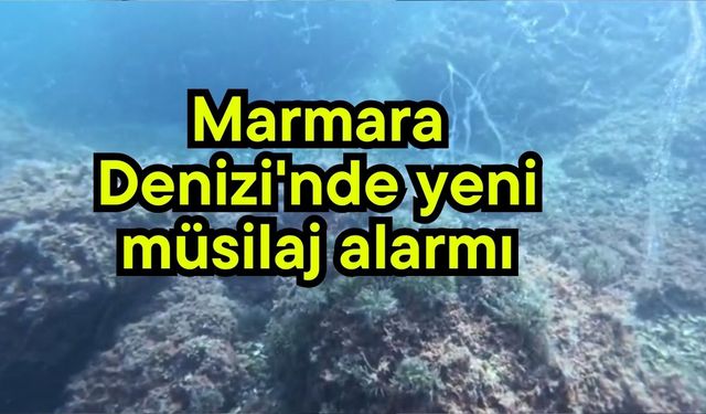 Marmara Denizi'nde yeni müsilaj alarmı (Video)