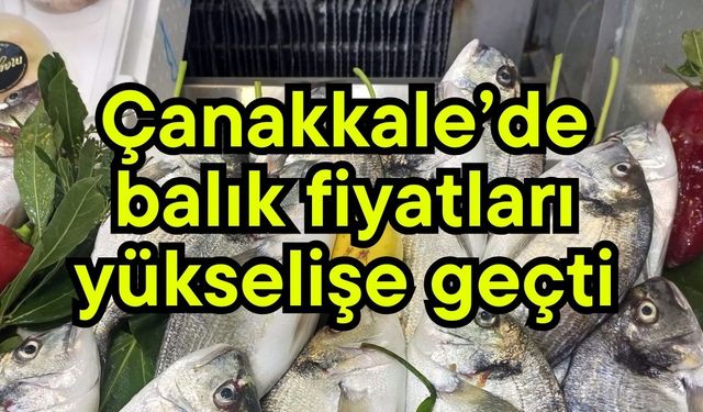 Çanakkale’de balık fiyatları yükselişe geçti
