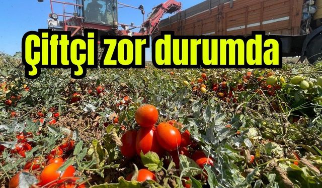 Tarımda plansızlık, üreticiyi zora sokuyor (Video)