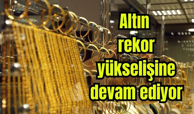 Altın rekor yükselişine devam ediyor