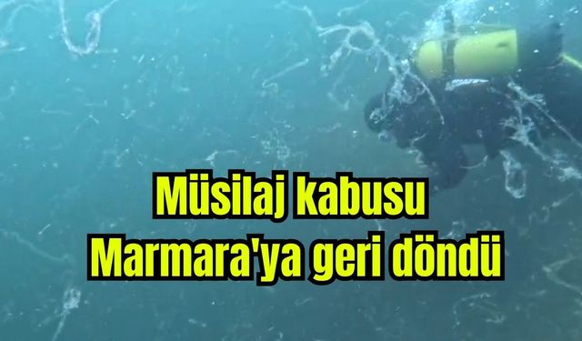 Müsilaj kabusu Marmara'ya geri döndü (Video)