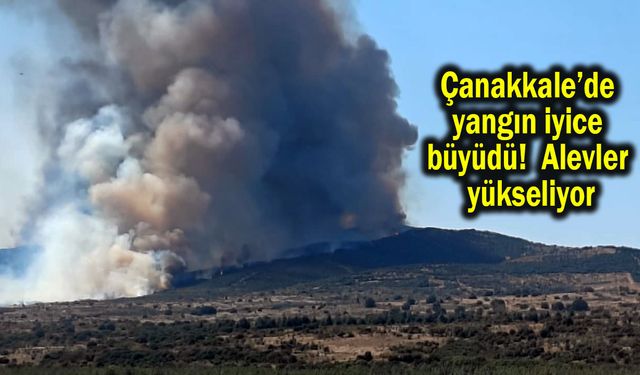 Çanakkale’de yangın iyice büyüdü! Alevler yükseliyor