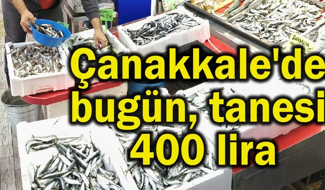 Çanakkale'de bugün tanesi 400 lira