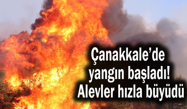 Çanakkale’de yangın başladı! Alevler hızla büyüdü
