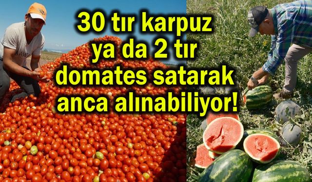 30 tır karpuz ya da 2 tır domates satarak anca alınabiliyor!