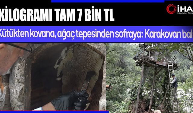 El değmeden üretilen bal rekora koşuyor (Video)