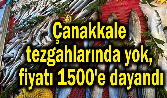 Çanakkale tezgahlarında yok, fiyatı 1500'e dayandı