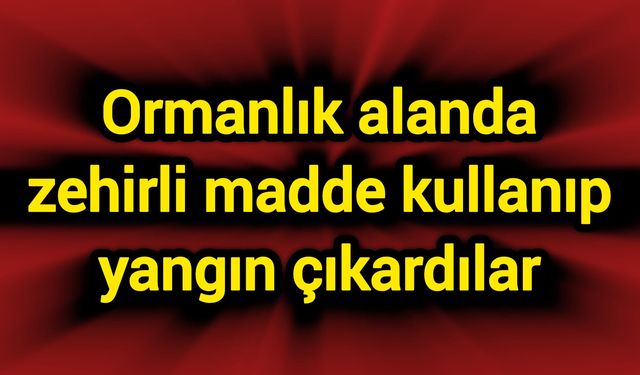 Ormanlık alanda zehirli madde kullanıp yangın çıkardılar